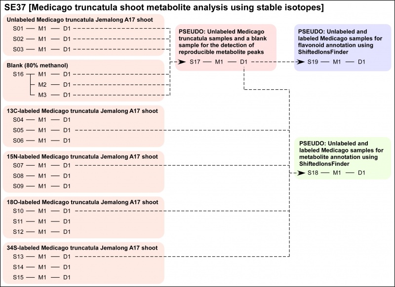 Metabolonote Image2.jpg